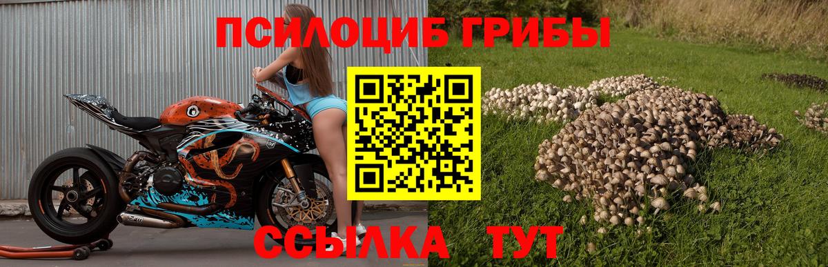 Чита  Галлюциногенные грибы Cubensis  Галлюциногенные грибы Magic Shrooms  Вход с VPN 